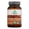 Organic India Organic Herbal Supplement -Cinnamon - 90 VCAP - 1901289