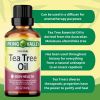 Spring Valley 100% Pure Australian Tea Tree Oil;  2 fl oz - Spring Valley